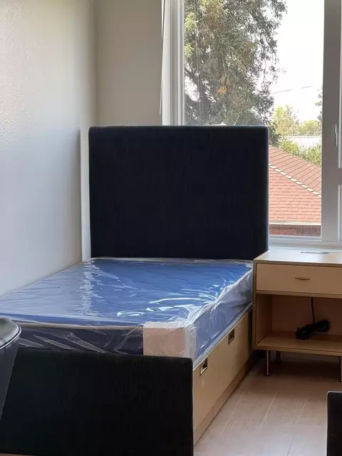 2556 Telegraph Ave, Berkeley, CA 94704 photo 38