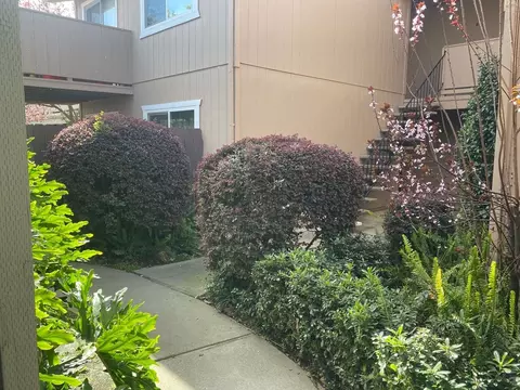5727 Sutter Ave, Carmichael, CA 95608 photo 18