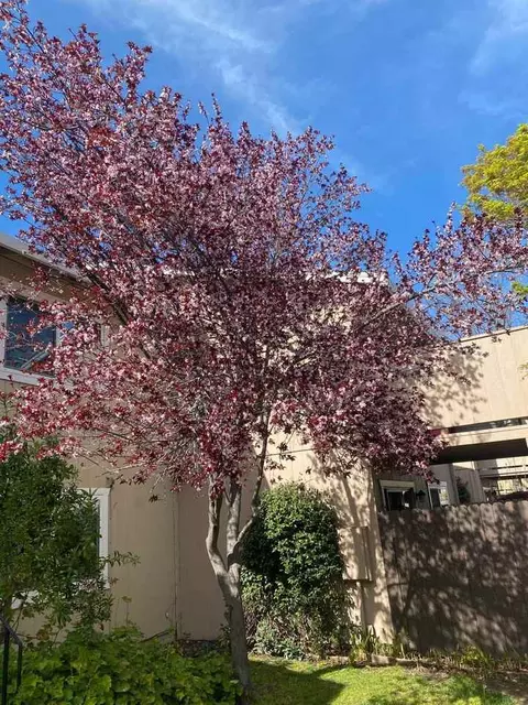 5727 Sutter Ave, Carmichael, CA 95608 photo 15