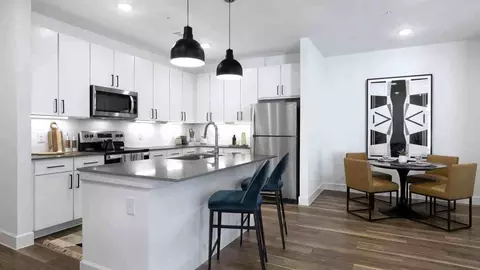 1401 Art Dilly Dr, Austin, TX 78702 photo 9