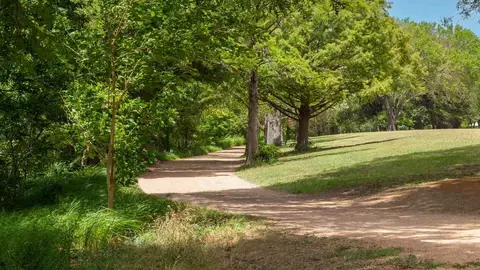 1401 Art Dilly Dr, Austin, TX 78702 photo 40