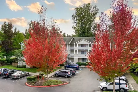2207 227th St SE, Bothell, WA 98021 photo 30