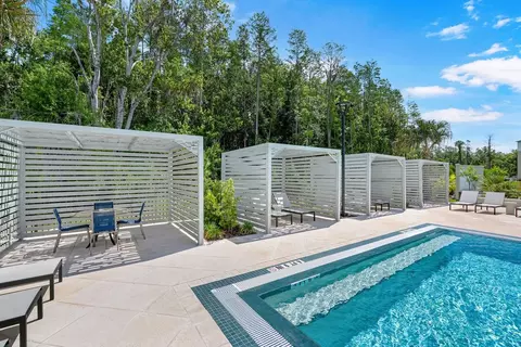 4434 Cobalt Brook Blvd, Lutz, FL 33559 photo 29