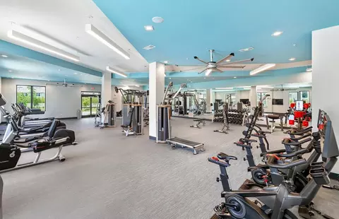 4434 Cobalt Brook Blvd, Lutz, FL 33559 photo 13