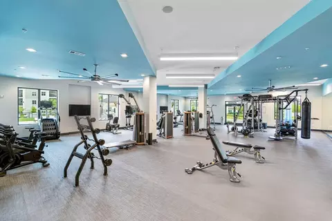 4434 Cobalt Brook Blvd, Lutz, FL 33559 photo 12