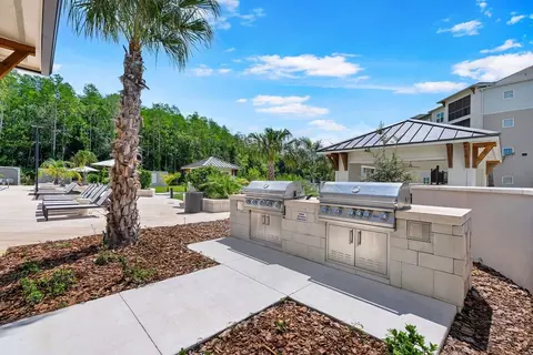 4434 Cobalt Brook Blvd, Lutz, FL 33559 photo 36