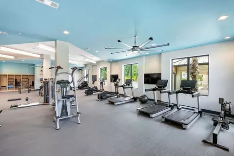 4434 Cobalt Brook Blvd, Lutz, FL 33559 photo 14