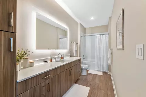 4434 Cobalt Brook Blvd, Lutz, FL 33559 photo 19