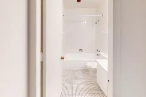 5035 S East End Ave, Chicago, IL 60615 photo 57