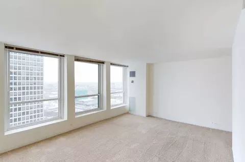 5035 S East End Ave, Chicago, IL 60615 photo 60