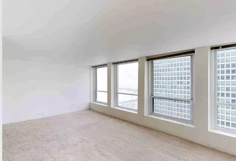 5035 S East End Ave, Chicago, IL 60615 photo 61