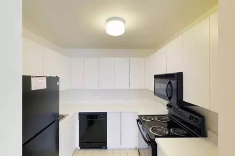 5035 S East End Ave, Chicago, IL 60615 photo 59