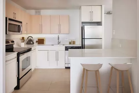 5035 S East End Ave, Chicago, IL 60615 photo 37