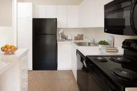 5035 S East End Ave, Chicago, IL 60615 photo 27