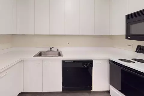 5035 S East End Ave, Chicago, IL 60615 photo 8