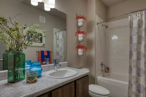 12517 Beach Blvd, Jacksonville, FL 32246 photo 14