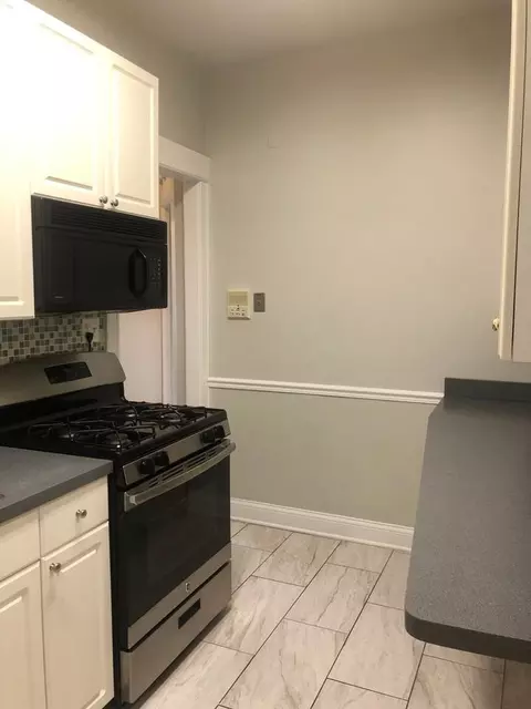 1017 W Byron St, Chicago, IL 60613