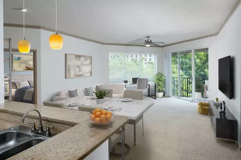 3100 NE 190th St, Aventura, FL 33180 photo 9