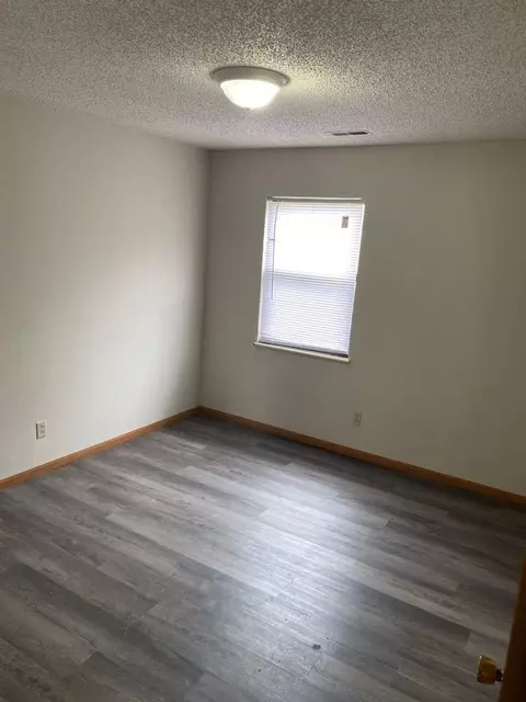 1009 Hawthorne St, Desloge, MO 63601 photo 14