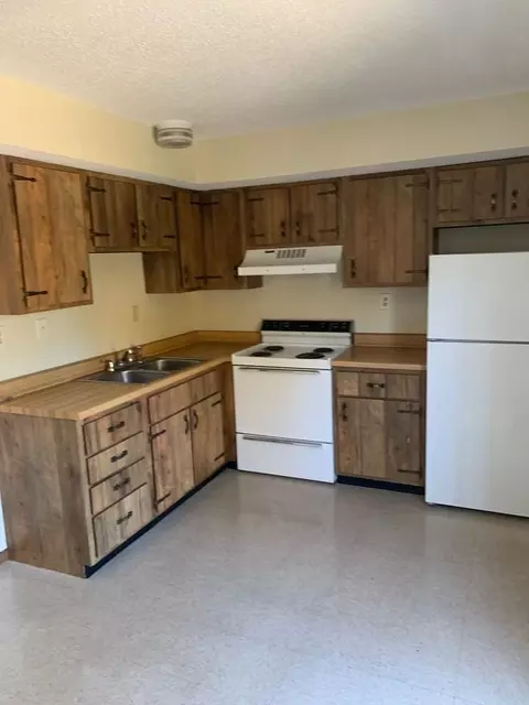 1009 Hawthorne St, Desloge, MO 63601 photo 2