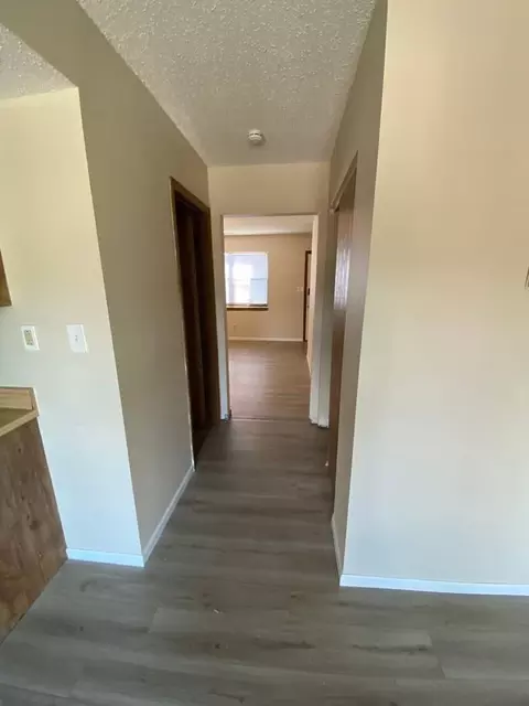 1009 Hawthorne St, Desloge, MO 63601 photo 8
