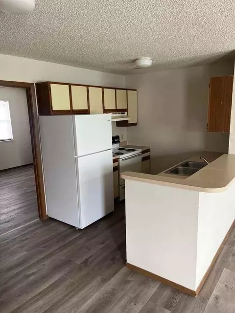 1009 Hawthorne St, Desloge, MO 63601 photo 22