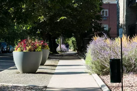1265 N Downing St, Denver, CO 80218 photo 20