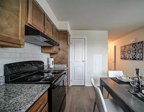 4520 Scarlet Oak Ln, Baltimore, MD 21229 photo 25
