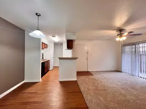 19700 Hickory Twig Way, Spring, TX 77388