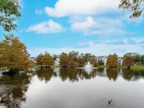 3100 Old Winter Garden Rd, Ocoee, FL 34761 photo 27