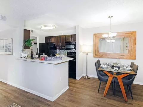 3100 Old Winter Garden Rd, Ocoee, FL 34761 photo 5