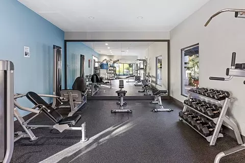 3402 Calle Odessa, Carlsbad, CA 92009 photo 17