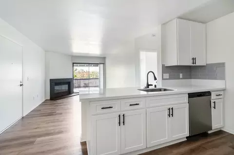 3402 Calle Odessa, Carlsbad, CA 92009 photo 43