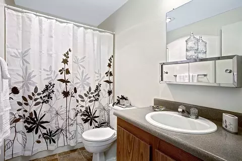 1110 164th St SE, Mill Creek, WA 98012 photo 11