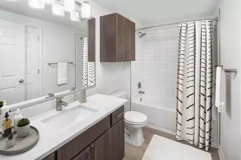 7171 Buffalo Speedway, Houston, TX 77025 photo 16