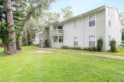 13944 Sandy Hill Loop, Tampa, FL 33613 photo 75