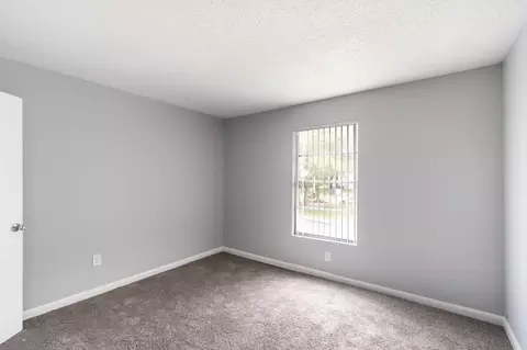 13944 Sandy Hill Loop, Tampa, FL 33613 photo 61