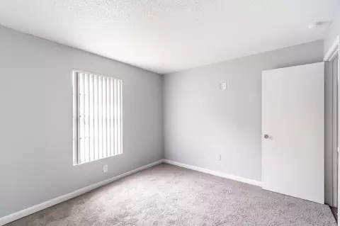 13944 Sandy Hill Loop, Tampa, FL 33613 photo 67