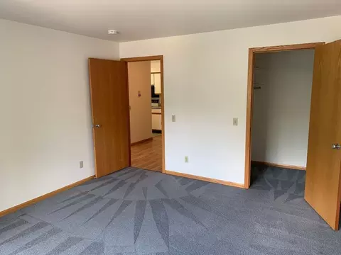 325 S Hamilton St, Madison, WI 53703 photo 22