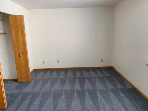 325 S Hamilton St, Madison, WI 53703 photo 23