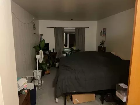 325 S Hamilton St, Madison, WI 53703 photo 5
