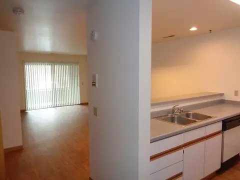 325 S Hamilton St, Madison, WI 53703 photo 13
