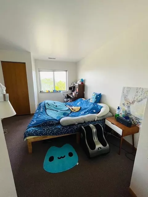 325 S Hamilton St, Madison, WI 53703 photo 52