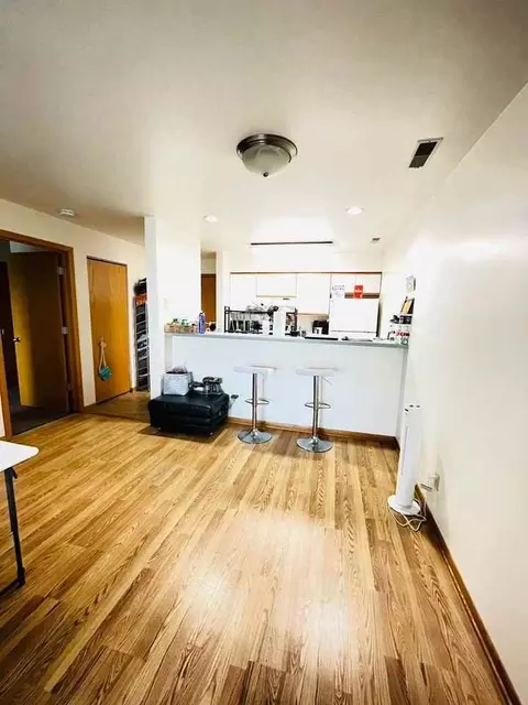 325 S Hamilton St, Madison, WI 53703 photo 47