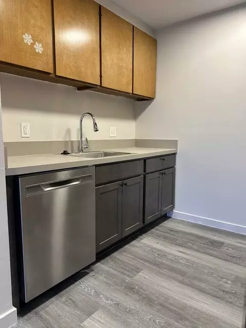 509 W Forest Ave, Ypsilanti, MI 48197