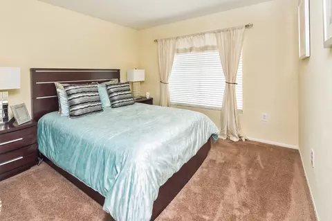 2902 Sycamore Ct, Tampa, FL 33613 photo 16