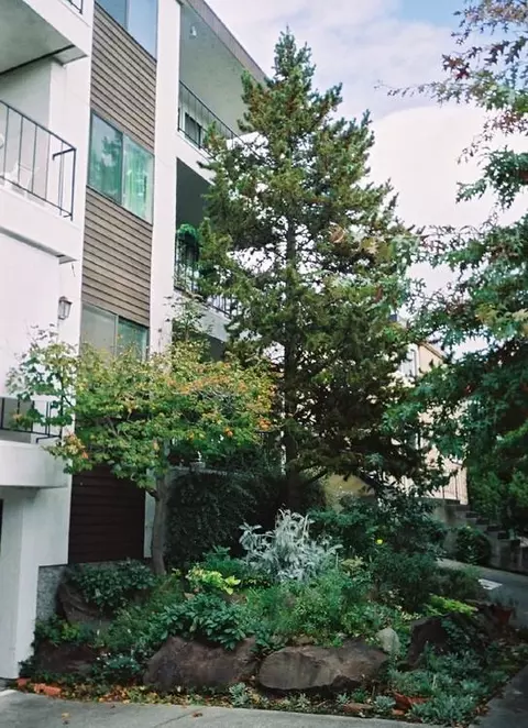 1530 NW 52nd St, Seattle, WA 98107 photo 23