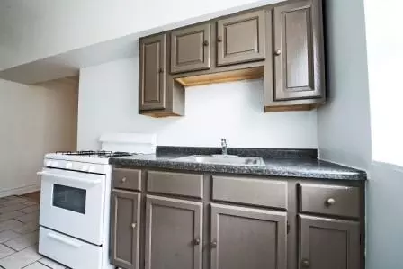 6933 S Indiana Ave, Chicago, IL 60637 photo 5