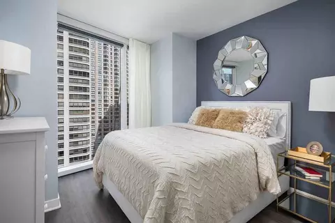 545 N Mcclurg Ct, Chicago, IL 60611 photo 14