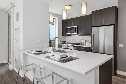 545 N Mcclurg Ct, Chicago, IL 60611 photo 2